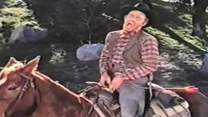 Wilhelmskriket: en översikt