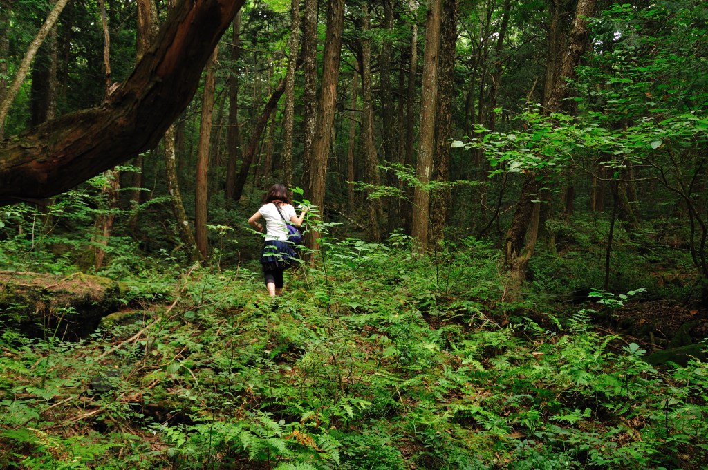 Aokigahara/En annan del av&nbsp;Japan